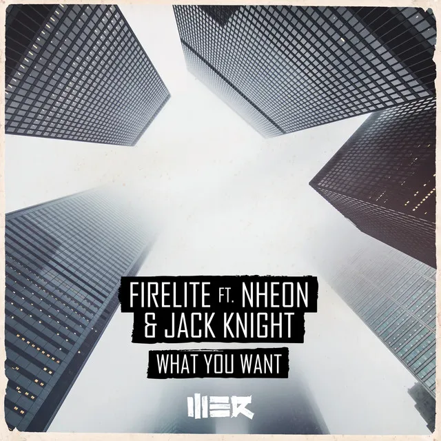 What You Want by Firelite, Jack Knight, Nheon - Hardcore cover art