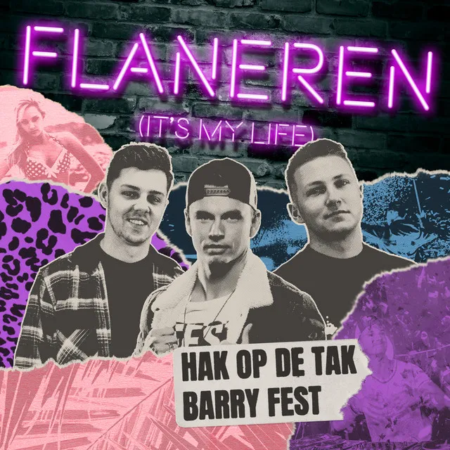Cover art of Flaneren (It's My Life)