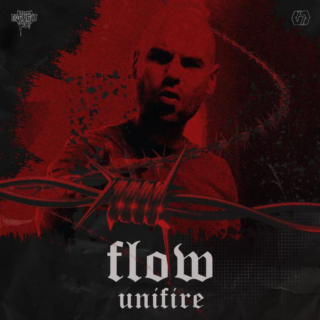 Cover art of Flow