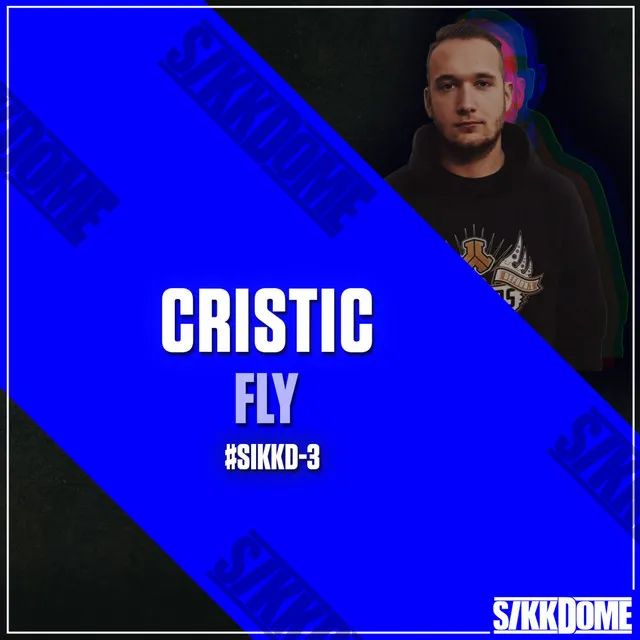 Cover art of Fly