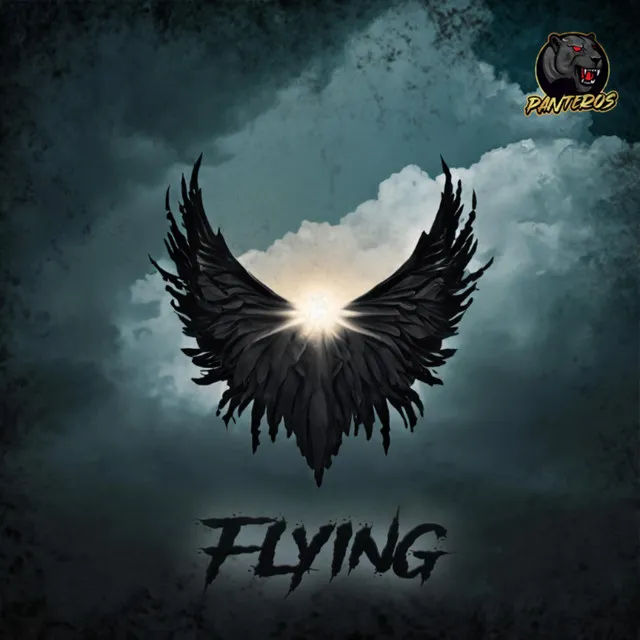 Cover art of Flying
