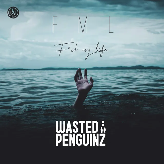 Cover art of FML