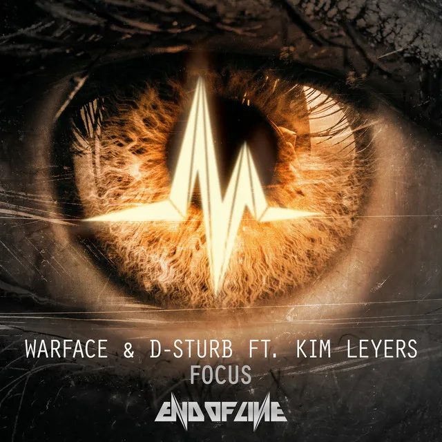 Cover art of Focus
