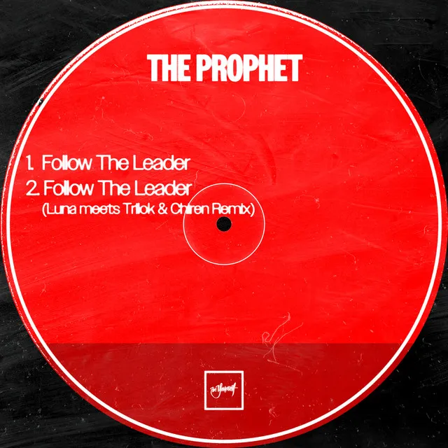 Cover art of Follow the Leader