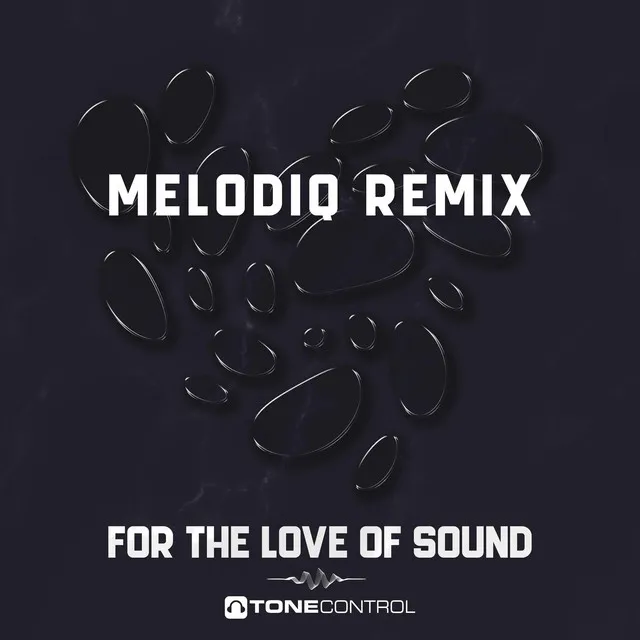 Cover art of For The Love Of Sound (MelodiQ Remix)