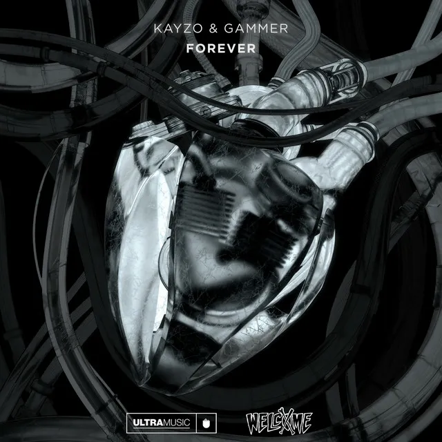 Cover art of FOREVER