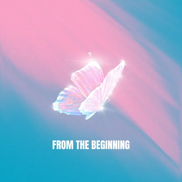 Cover art of From The Beginning