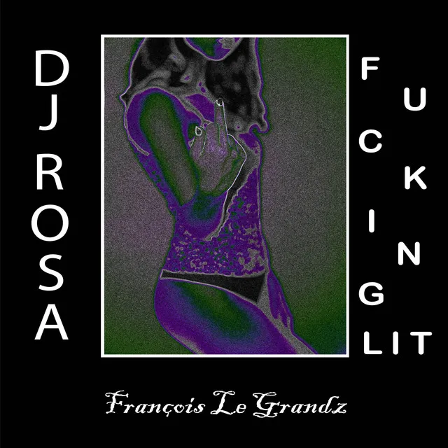 Cover art of Fucking Lit