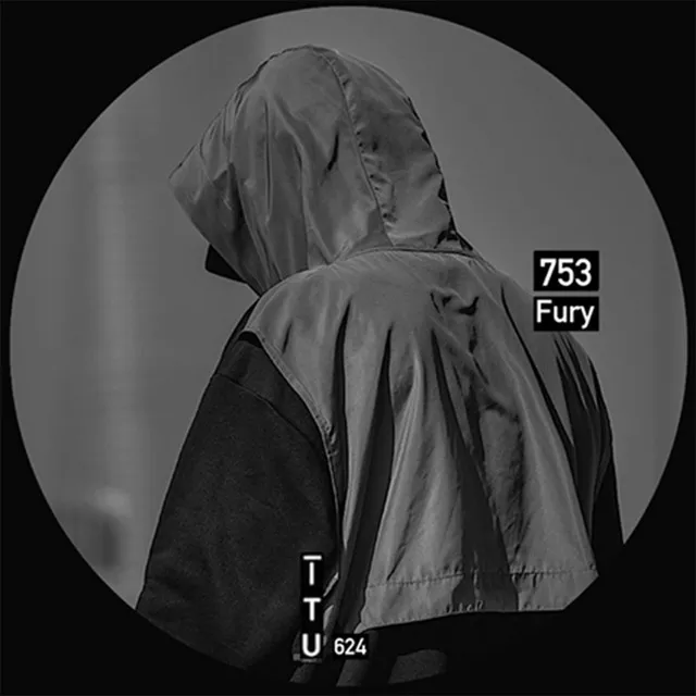 Cover art of Fury