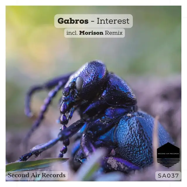 Interest by Gabros - Hard Techno cover art