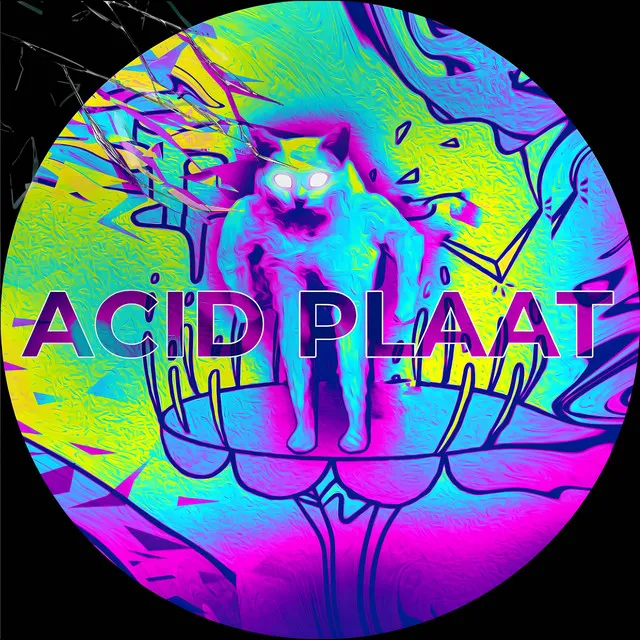 Acid Plaat by GEWOONRAVES, DIKKE BAAP, Krabi - Hard Techno cover art