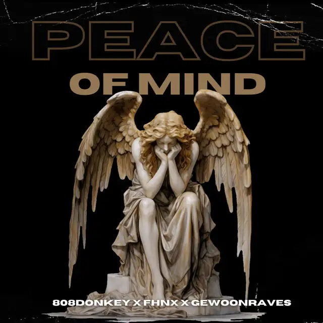PEACE OF MIND by GEWOONRAVES, FHNX, 808Donkey - Hard Techno cover art