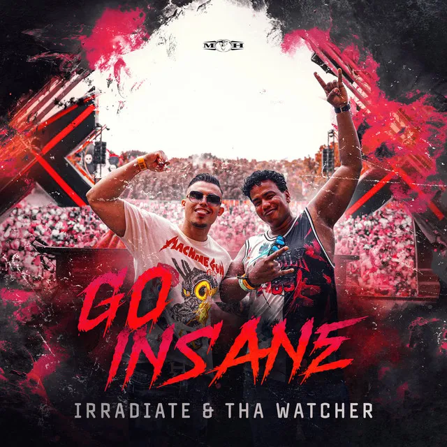 Cover art of Go Insane