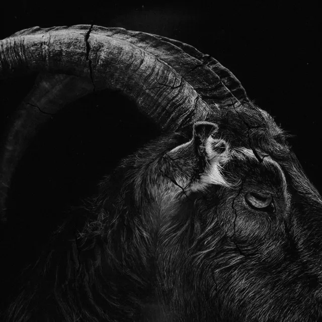 Satanic by Gostwork - Hard Techno cover art