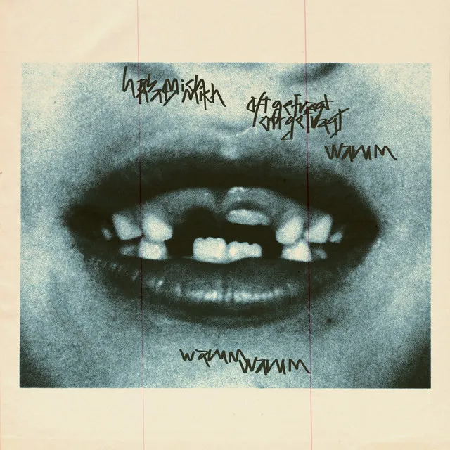 Cover art of Hab mich oft gefragt