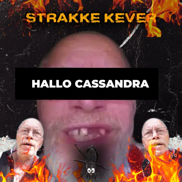 Cover art of Hallo Cassandra