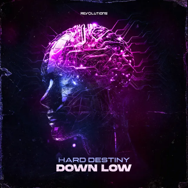 Down Low by Hard Destiny - Hardstyle cover art