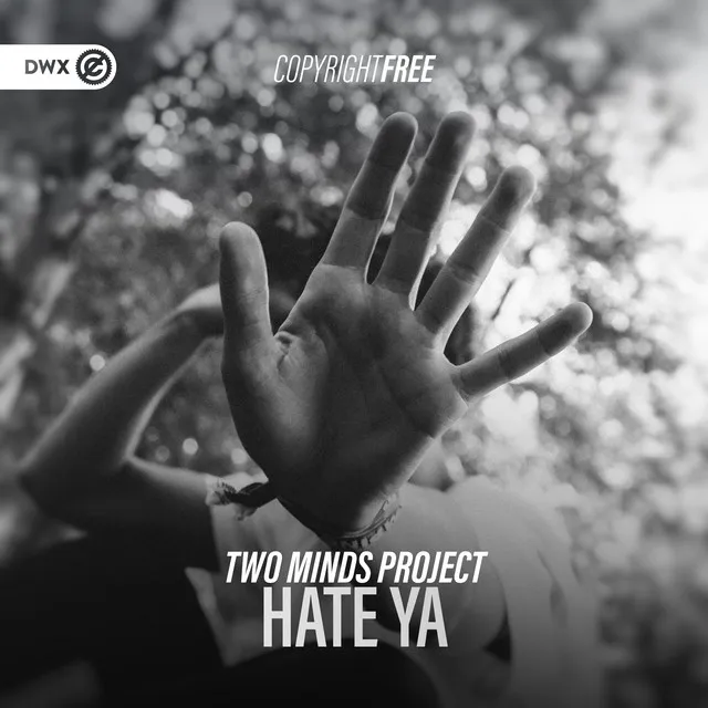 Cover art of Hate Ya