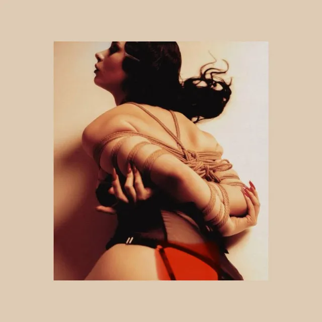 Cover art of HE SHOT ME DOWN