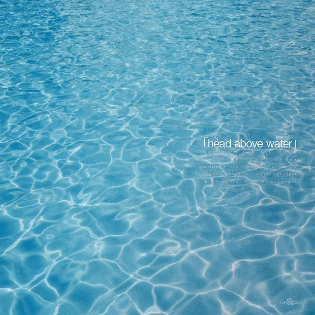 Cover art of Head Above Water