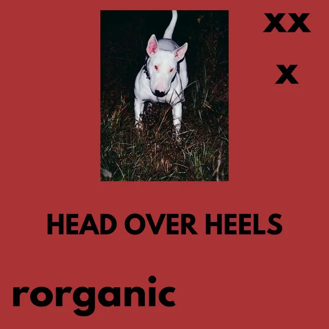 Cover art of HEAD OVER HEELS