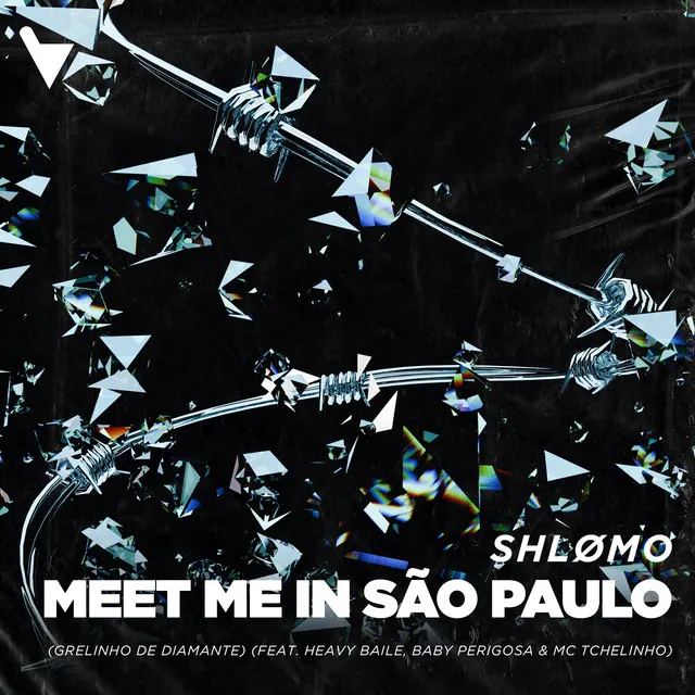 Meet Me In São Paulo (Grelinho De Diamante) by Heavy Baile, Shlømo, Mc Baby Perigosa, MC Tchelinho - Hard Techno cover art