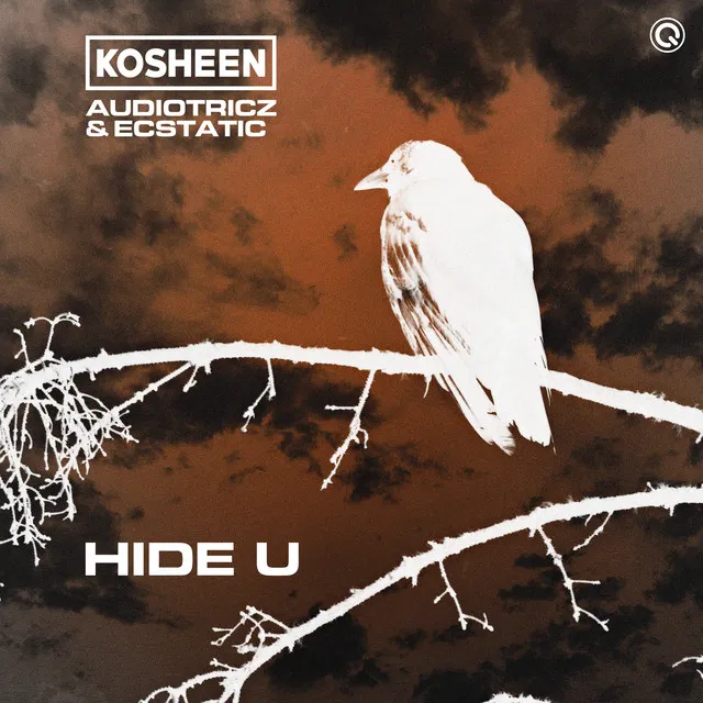 Cover art of Hide U