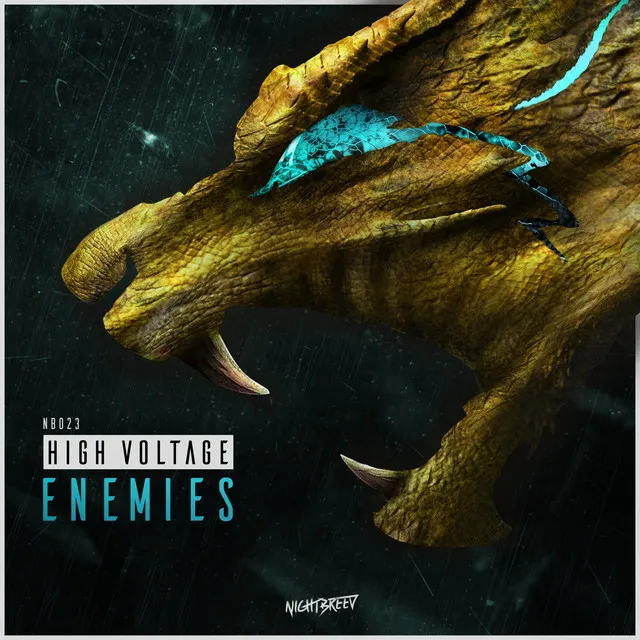 Enemies by High Voltage - Rawstyle cover art