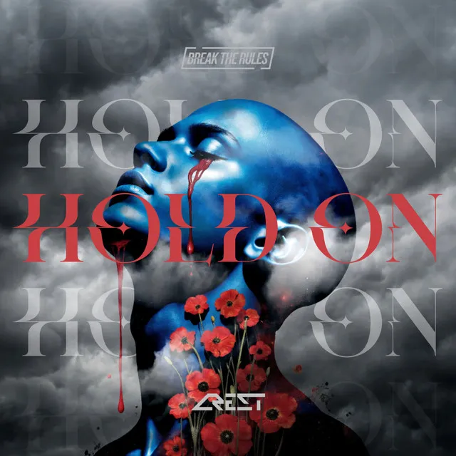 Cover art of Hold On