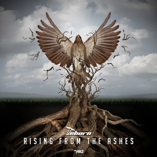 Cover art of Rising From The Ashes