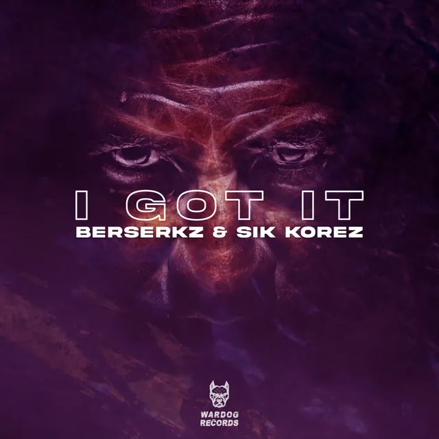 Cover art of I Got It