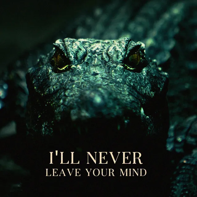 Cover art of I'll Never Leave Your Mind