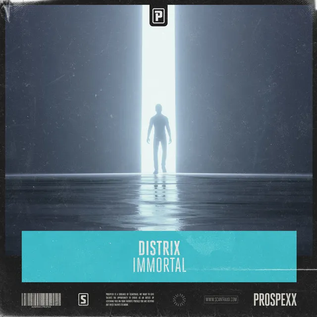 Cover art of Immortal