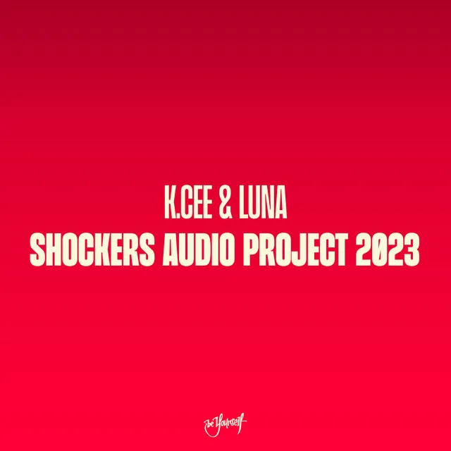 Cover art of Shockers Audio Project 2003