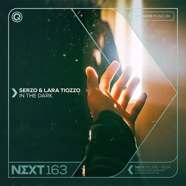 Cover art of In The Dark