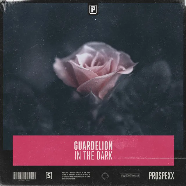 Cover art of In The Dark