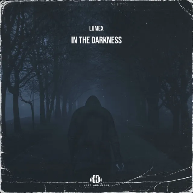 Cover art of In the Darkness