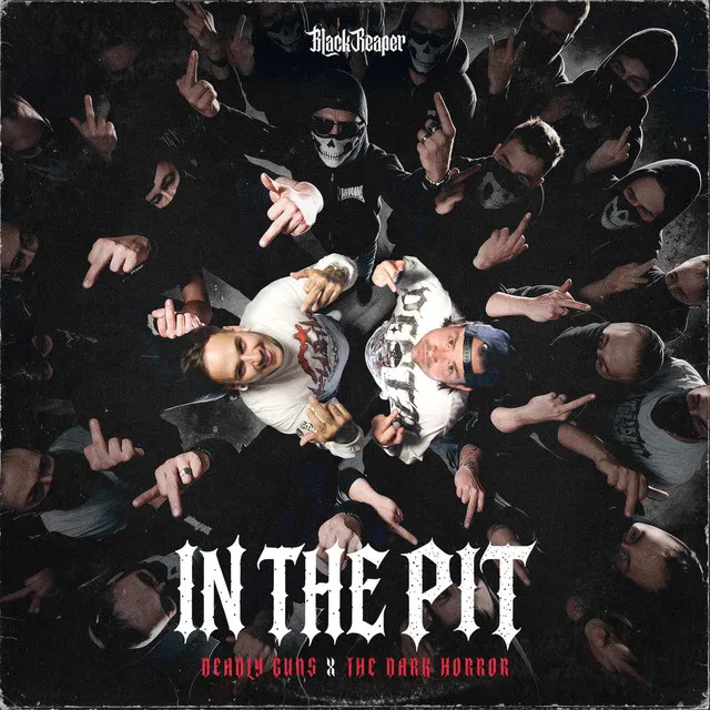 Cover art of In The Pit