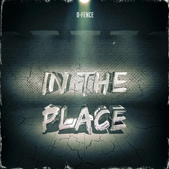 Cover art of In The Place