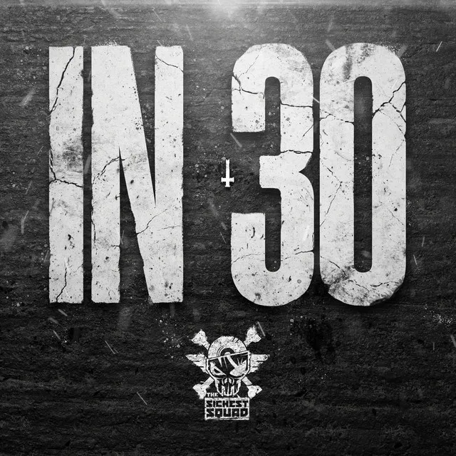 Cover art of IN30