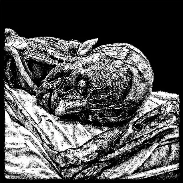 Horny Girls Are Addicted to It by Infeed, Kursed System - Hard Techno cover art