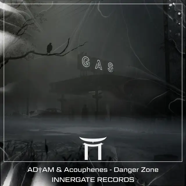 Danger Zone by INNERGATED, AD†AM, Acouphènes - Hard Techno cover art
