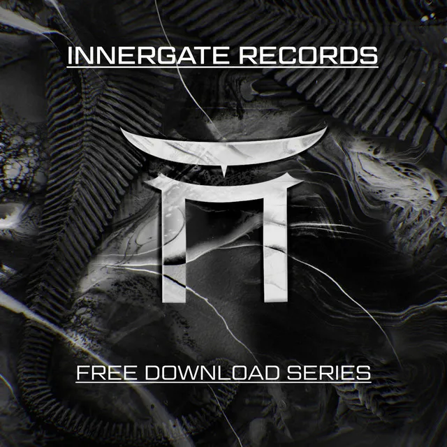 I Got This Acid by INNERGATED, Undefined., Fysc. - Hard Techno cover art