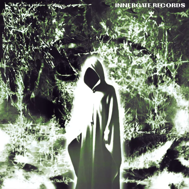 Vindicator by INNERGATED, ANGEL CANNON - Hard Techno cover art