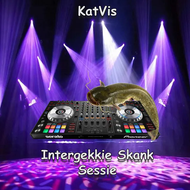 Cover art of Intergekkie Skank Sessie