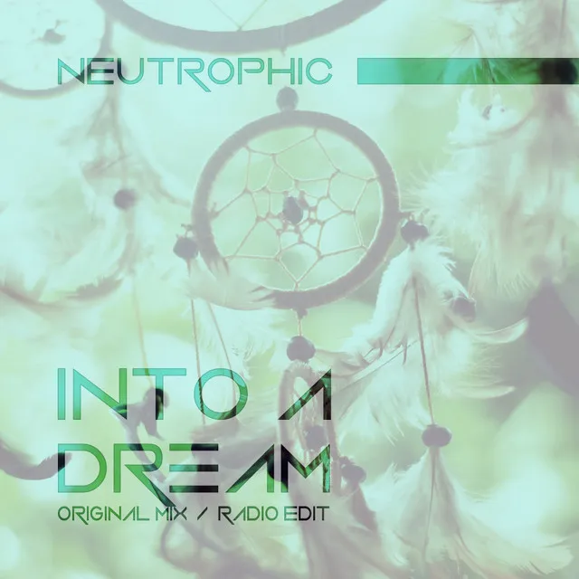 Cover art of Into A Dream