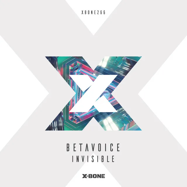 Cover art of Invisible