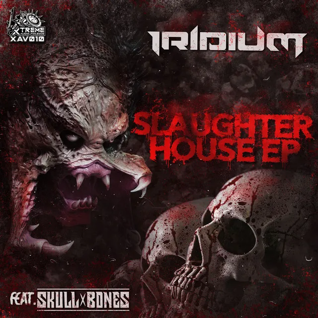In the Dark by Iridium, Skull x Bones - Doomcore cover art