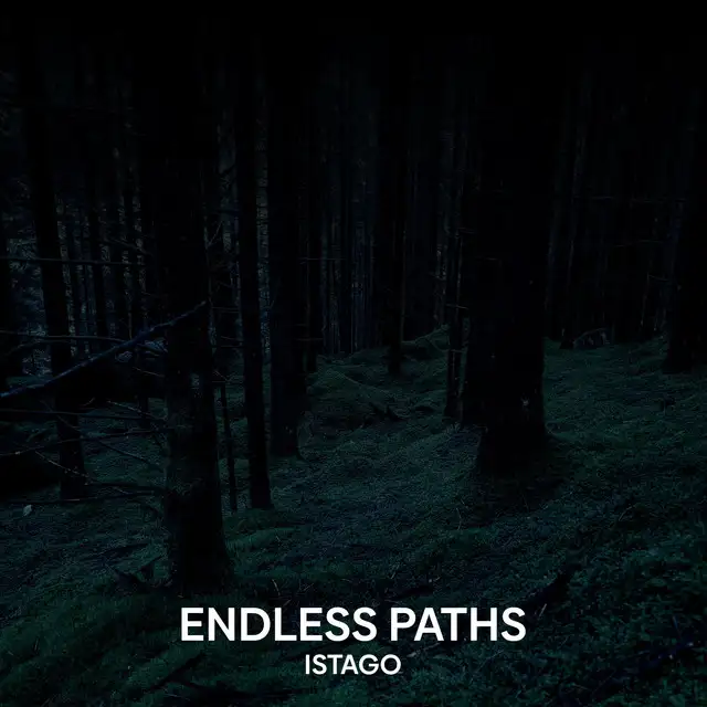 Endless Paths by Istago - Hardstyle cover art