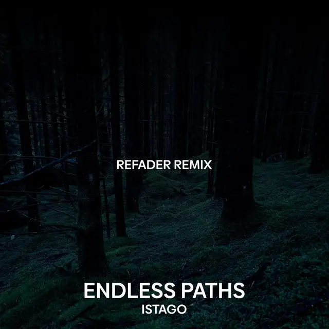 Endless Paths (Refader Remix) - Radio Edit by Istago, Refader - Hardstyle cover art